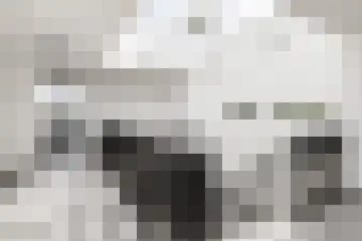 Moerashoeve 131 Nieuwegein thumbnail 27