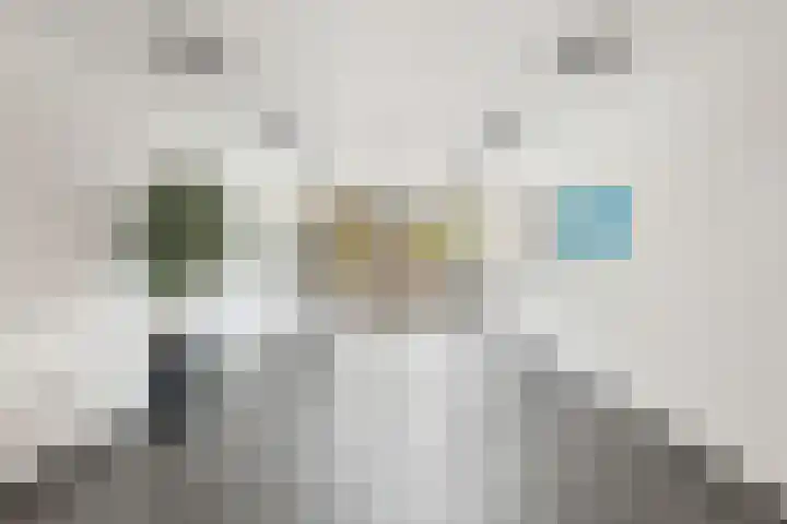 Moerashoeve 131 Nieuwegein thumbnail 30