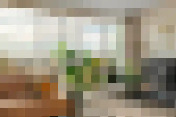 Moerashoeve 138 Nieuwegein thumbnail 14