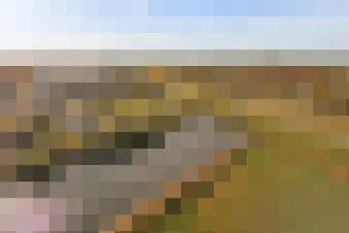 Moerashoeve 138 Nieuwegein thumbnail 18