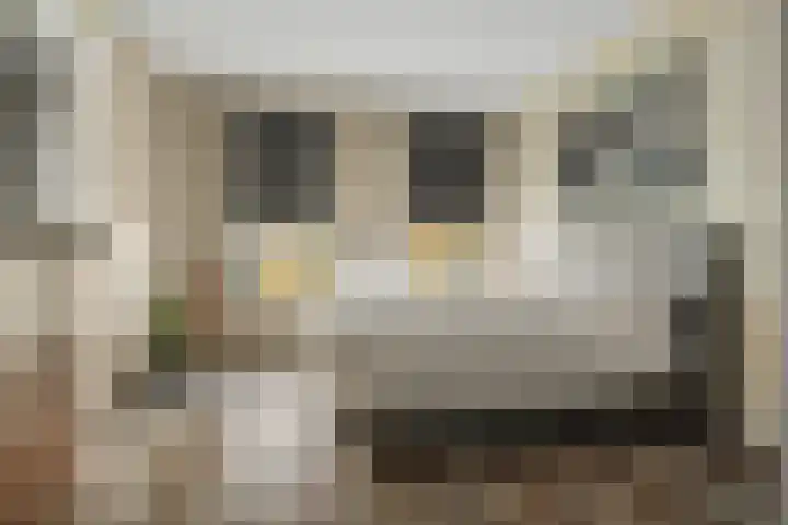 Moerashoeve 138 Nieuwegein thumbnail 24
