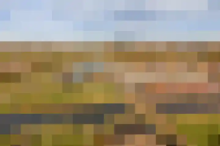 Moerashoeve 138 Nieuwegein thumbnail 29