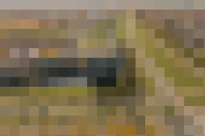 Moerashoeve 138 Nieuwegein thumbnail 8