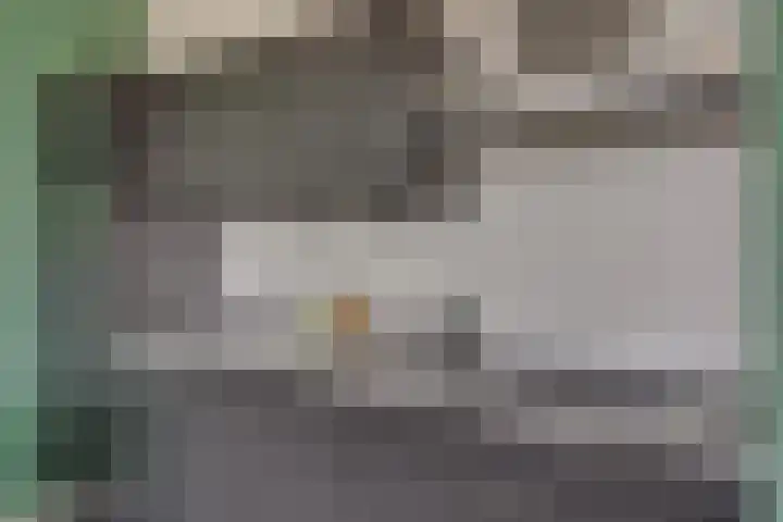 Moerashoeve 55 Nieuwegein thumbnail 10