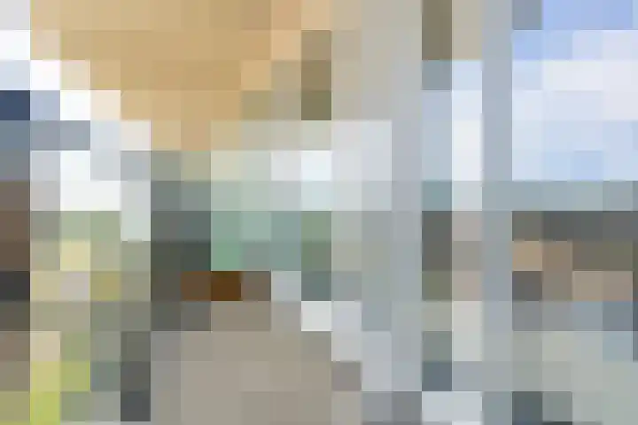 Moerashoeve 55 Nieuwegein thumbnail 14