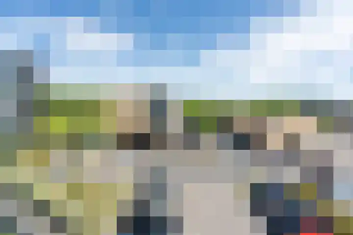 Moerashoeve 55 Nieuwegein thumbnail 15