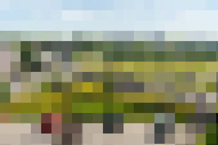 Moerashoeve 55 Nieuwegein thumbnail 16