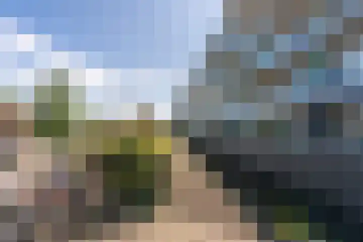 Moerashoeve 55 Nieuwegein thumbnail 25