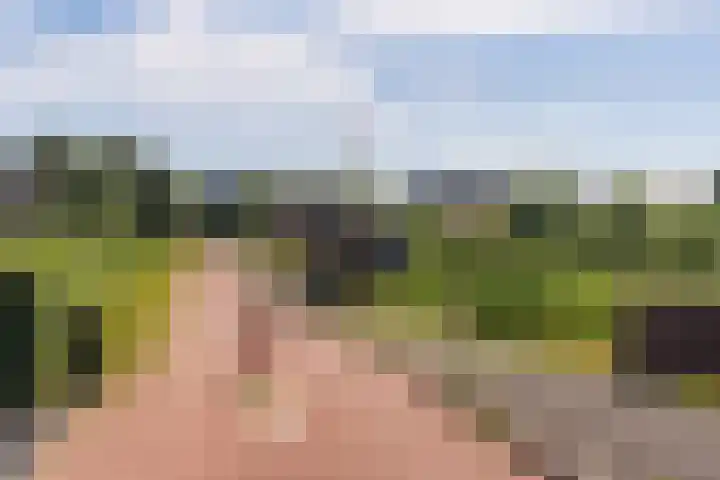 Moerashoeve 55 Nieuwegein thumbnail 29