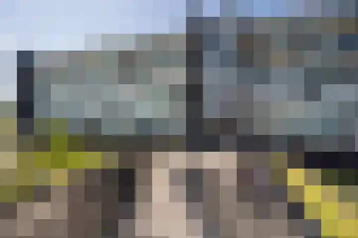 Moerashoeve 55 Nieuwegein thumbnail 33