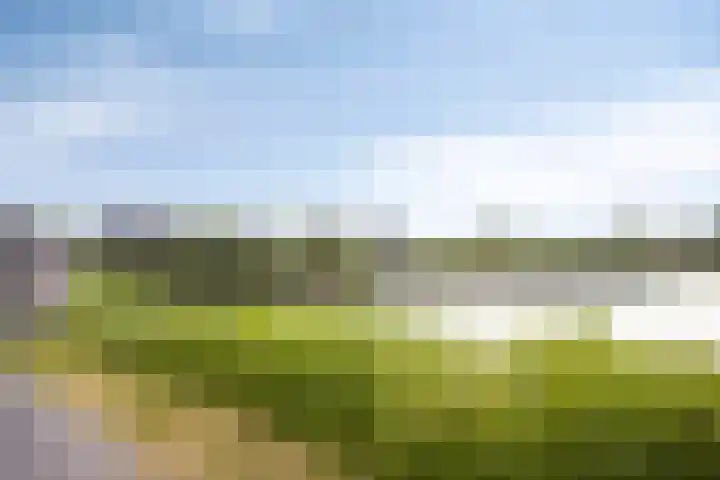 Moerashoeve 58 Nieuwegein thumbnail 27