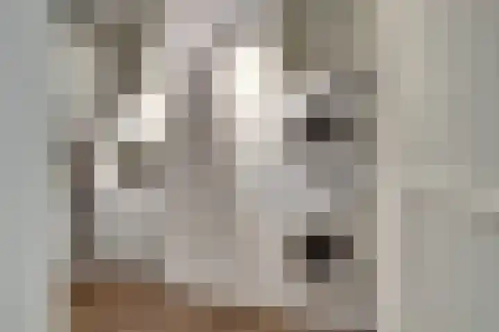 Moerashoeve 6 Nieuwegein thumbnail 29