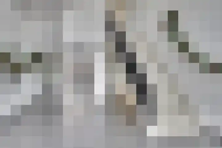 Moerashoeve 6 Nieuwegein thumbnail 33