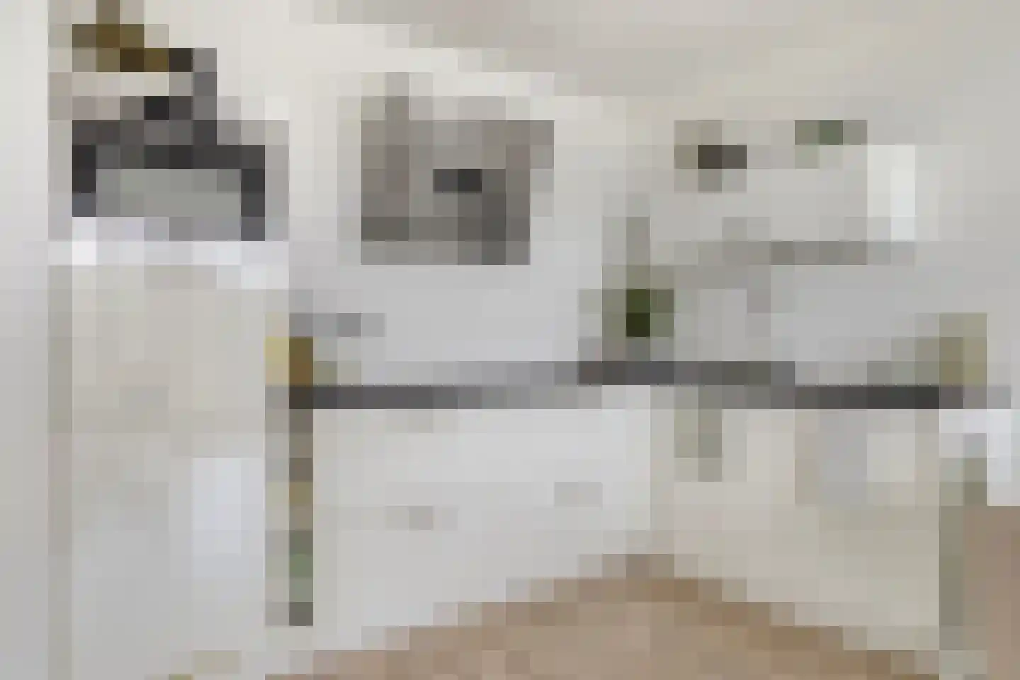 Moerashoeve 60 Nieuwegein thumbnail 10