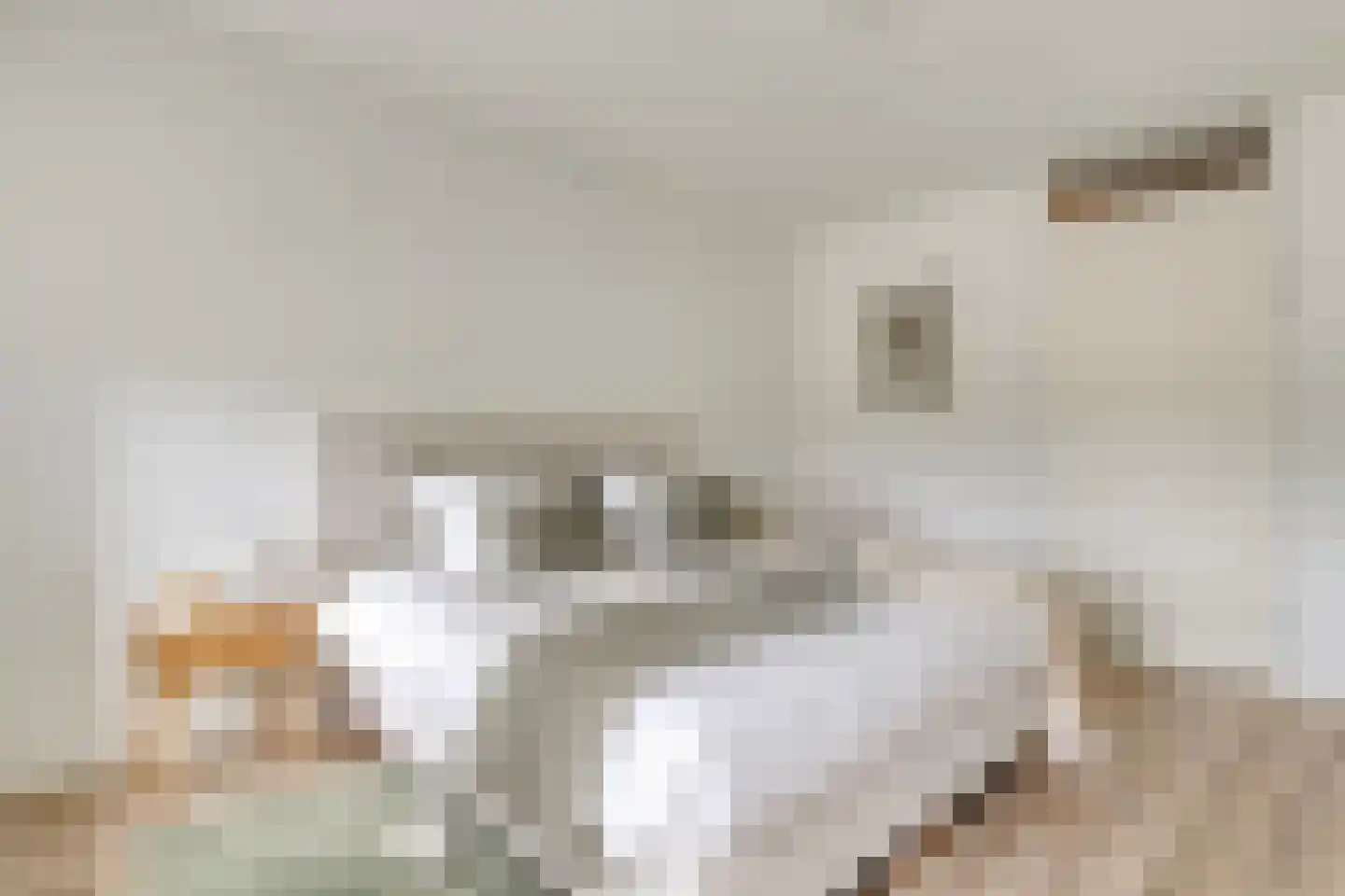 Moerashoeve 60 Nieuwegein thumbnail 14