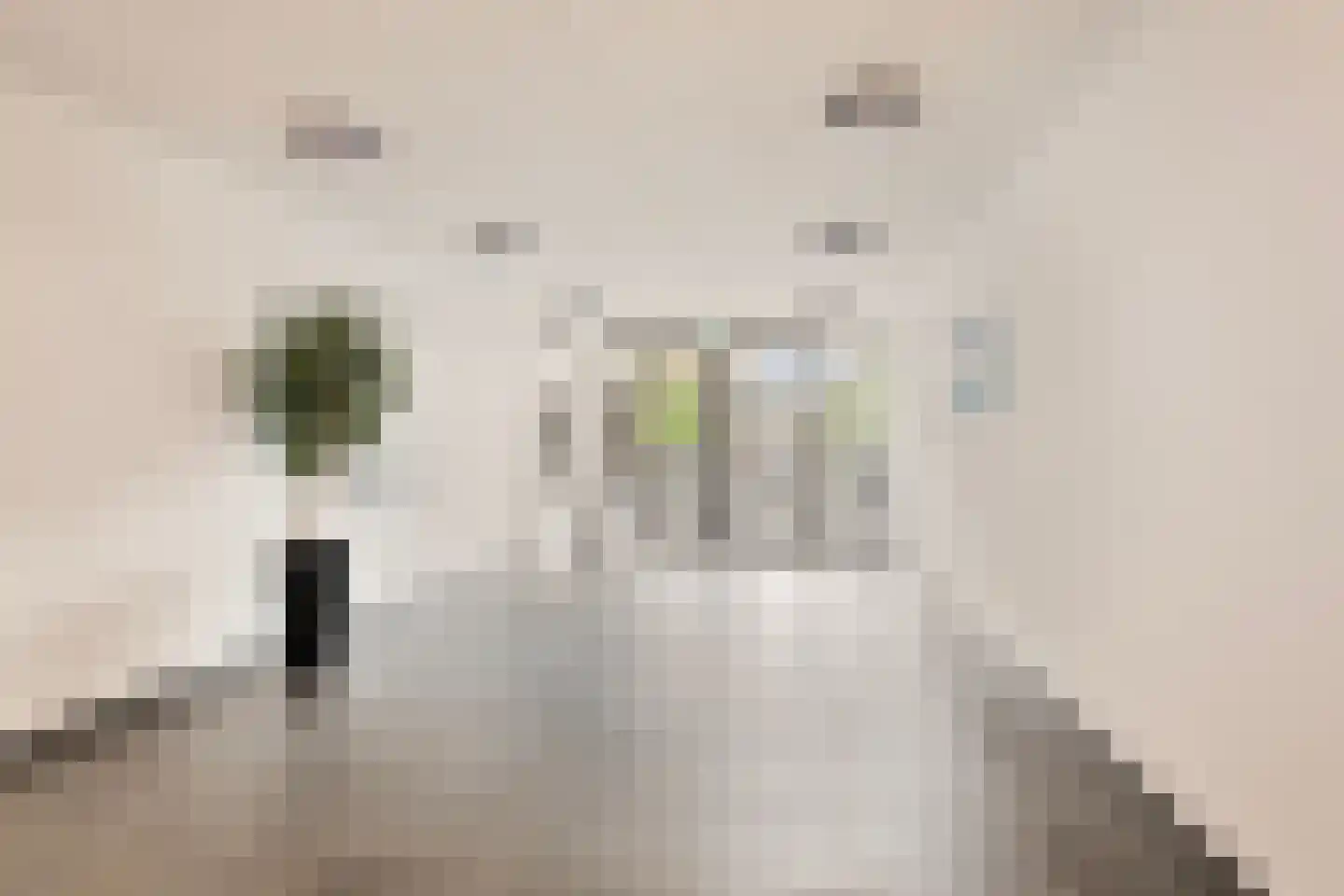 Moerashoeve 60 Nieuwegein thumbnail 18
