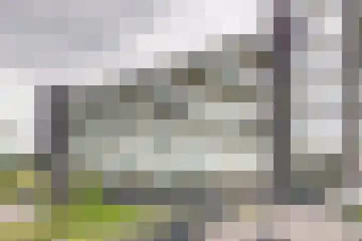 Moerashoeve 67 Nieuwegein thumbnail 25