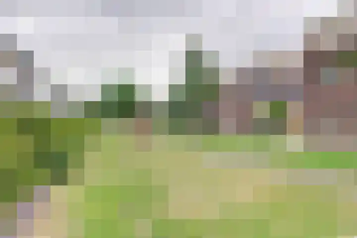 Moerashoeve 67 Nieuwegein thumbnail 30
