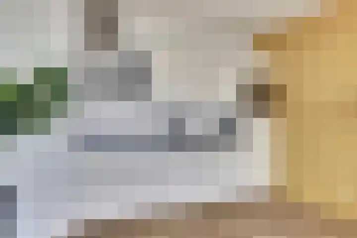 Moerashoeve 67 Nieuwegein thumbnail 8