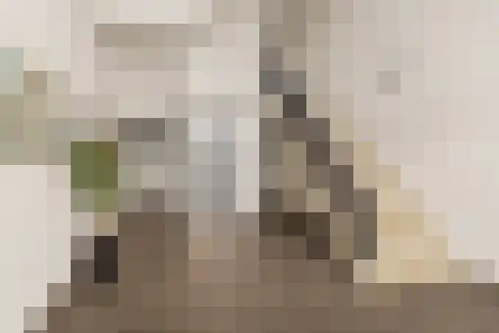 Moerashoeve 71 Nieuwegein thumbnail 11