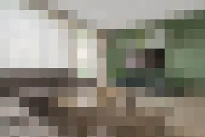 Moerashoeve 71 Nieuwegein thumbnail 17
