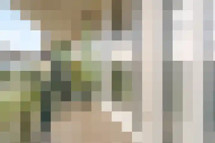 Moerashoeve 71 Nieuwegein thumbnail 18