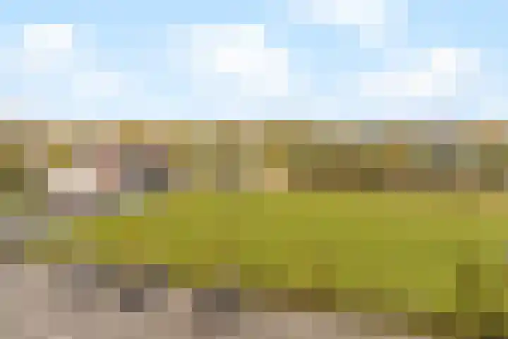 Moerashoeve 71 Nieuwegein thumbnail 19