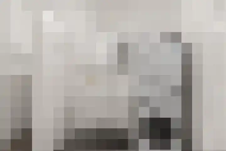 Moerashoeve 71 Nieuwegein thumbnail 21