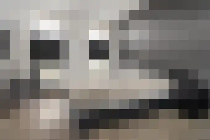 Moerashoeve 71 Nieuwegein thumbnail 24