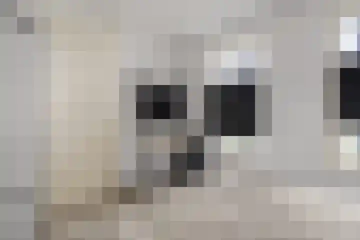 Moerashoeve 71 Nieuwegein thumbnail 25