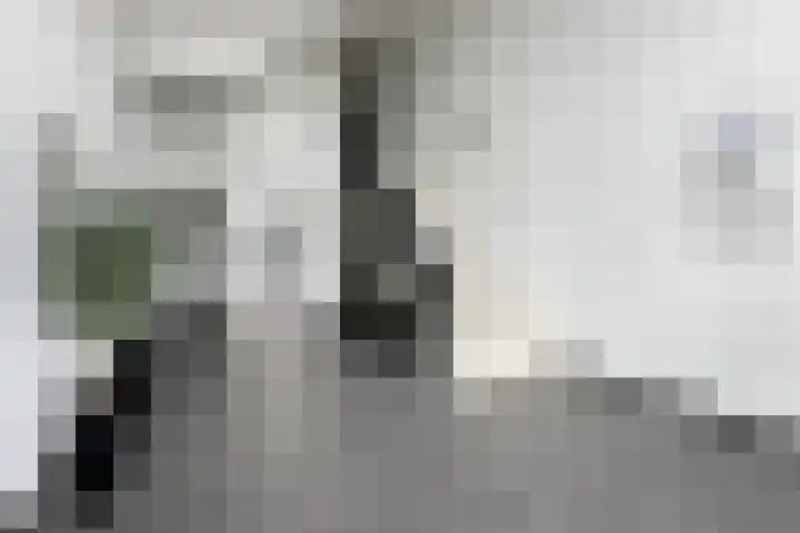 Moerashoeve 81 Nieuwegein thumbnail 13