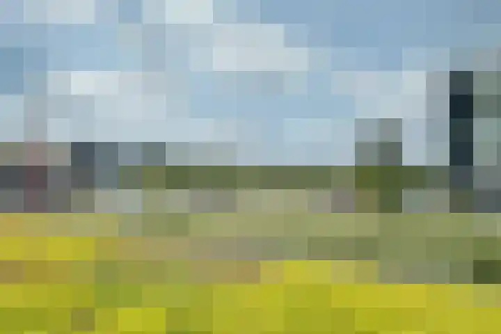 Moerashoeve 81 Nieuwegein thumbnail 30