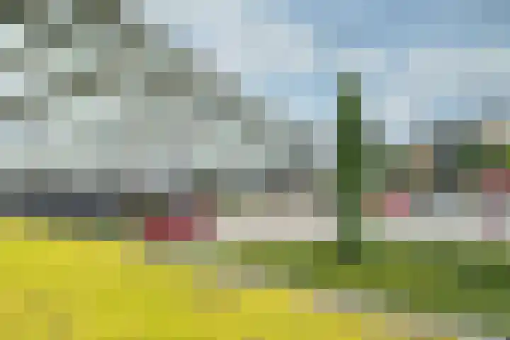 Moerashoeve 81 Nieuwegein thumbnail 31