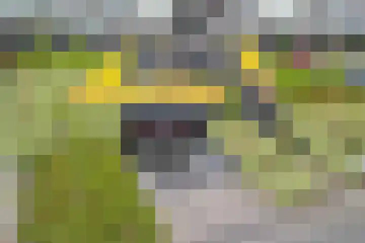 Moerashoeve 81 Nieuwegein thumbnail 9