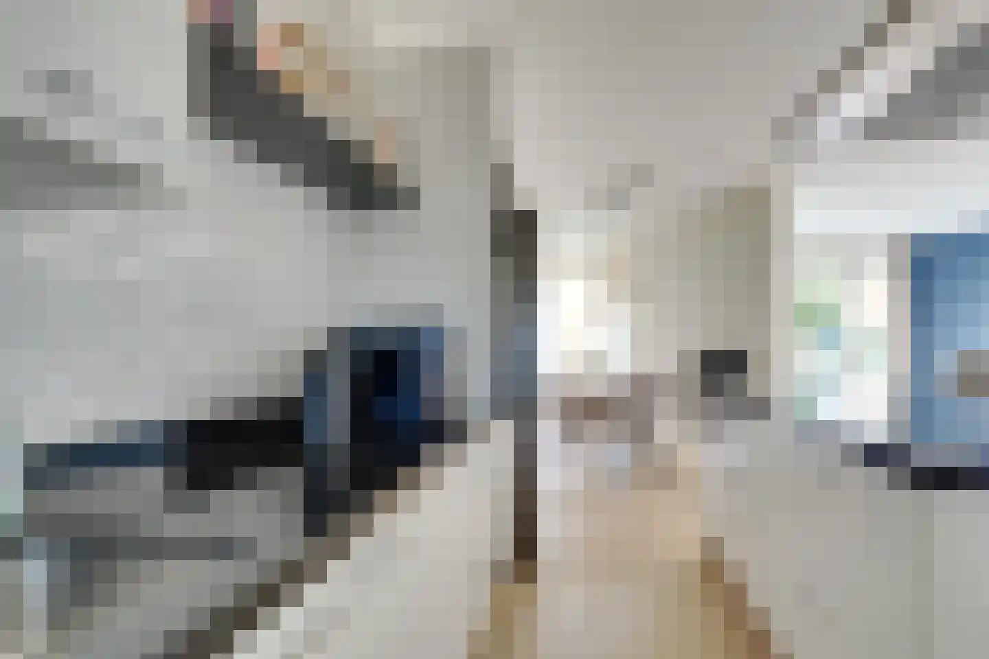Moerashoeve 87 Nieuwegein thumbnail 15