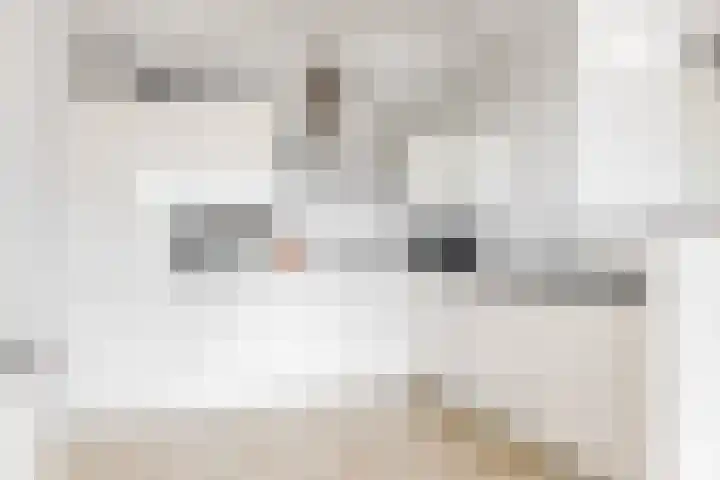 Moerashoeve 9 Nieuwegein thumbnail 8