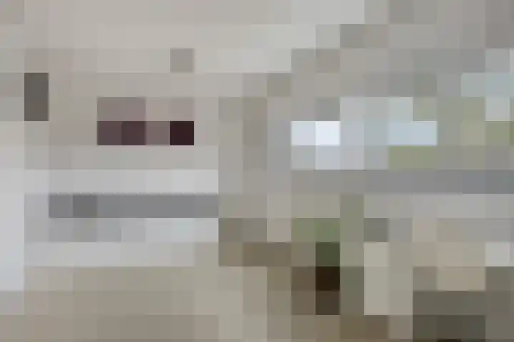 Moeraskers 18 's-Hertogenbosch thumbnail 12