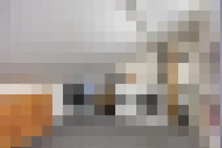 Moeraskers 18 's-Hertogenbosch thumbnail 19