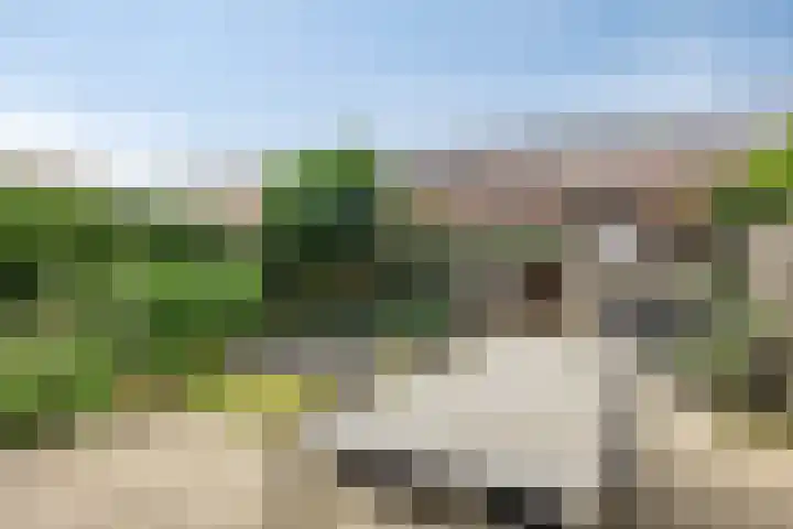 Moeraskers 18 's-Hertogenbosch thumbnail 21