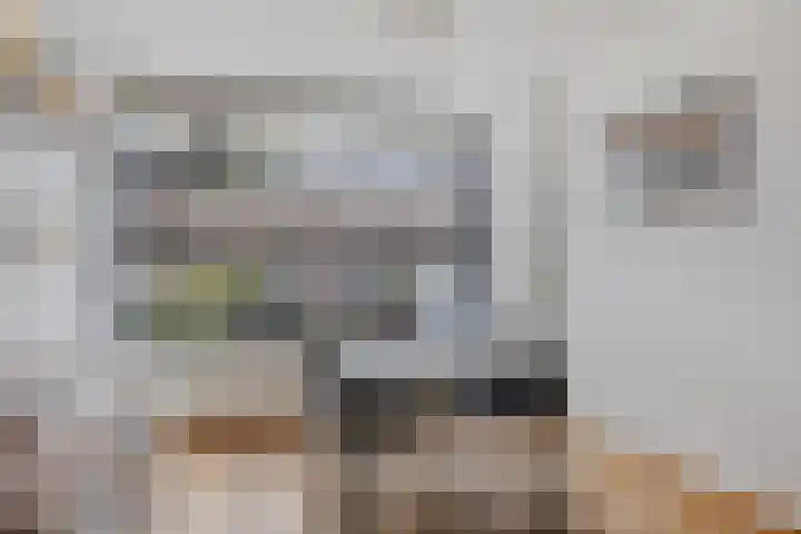 Moeraskers 18 's-Hertogenbosch thumbnail 7
