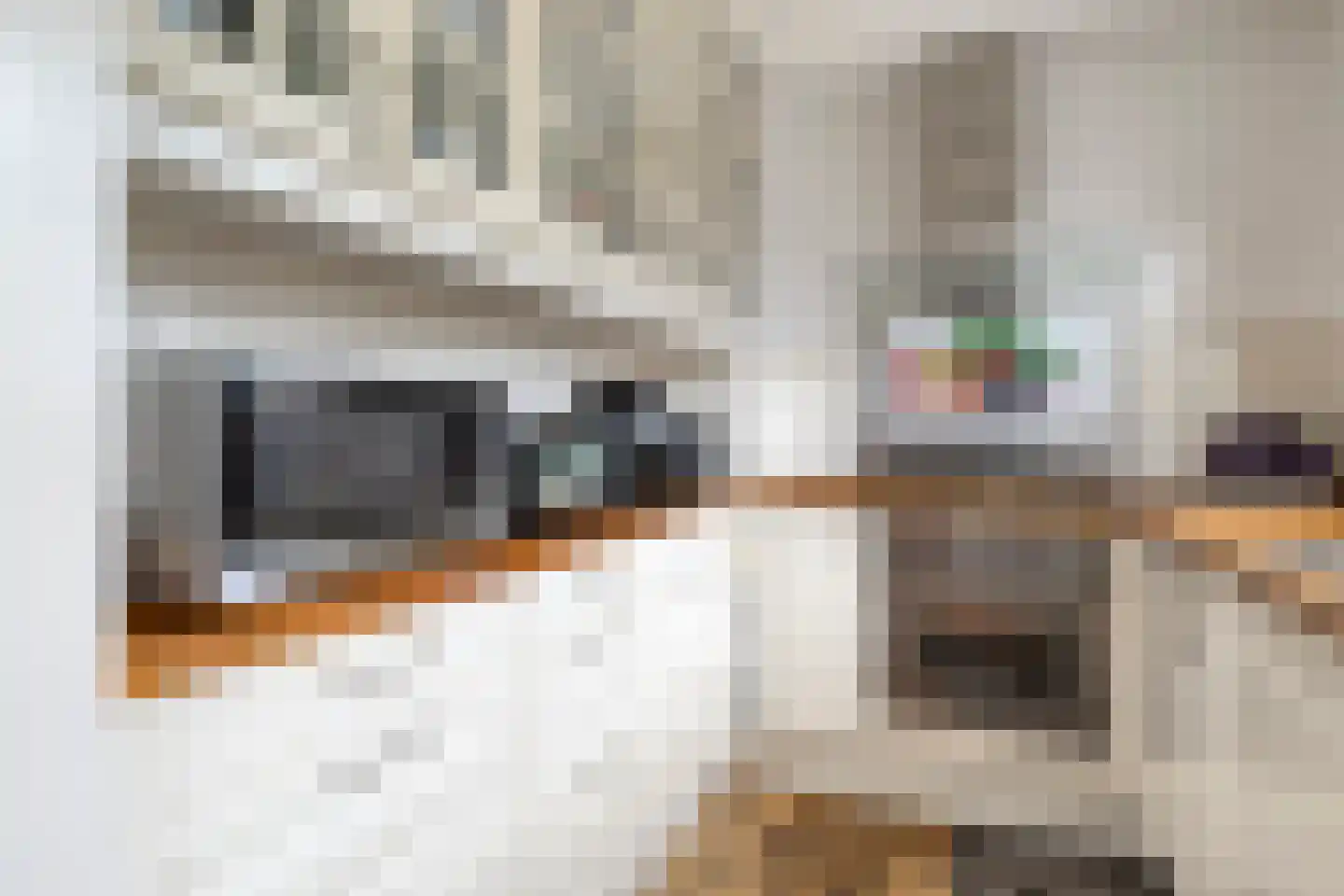 Moeraskreek 3 Spijkenisse thumbnail 11
