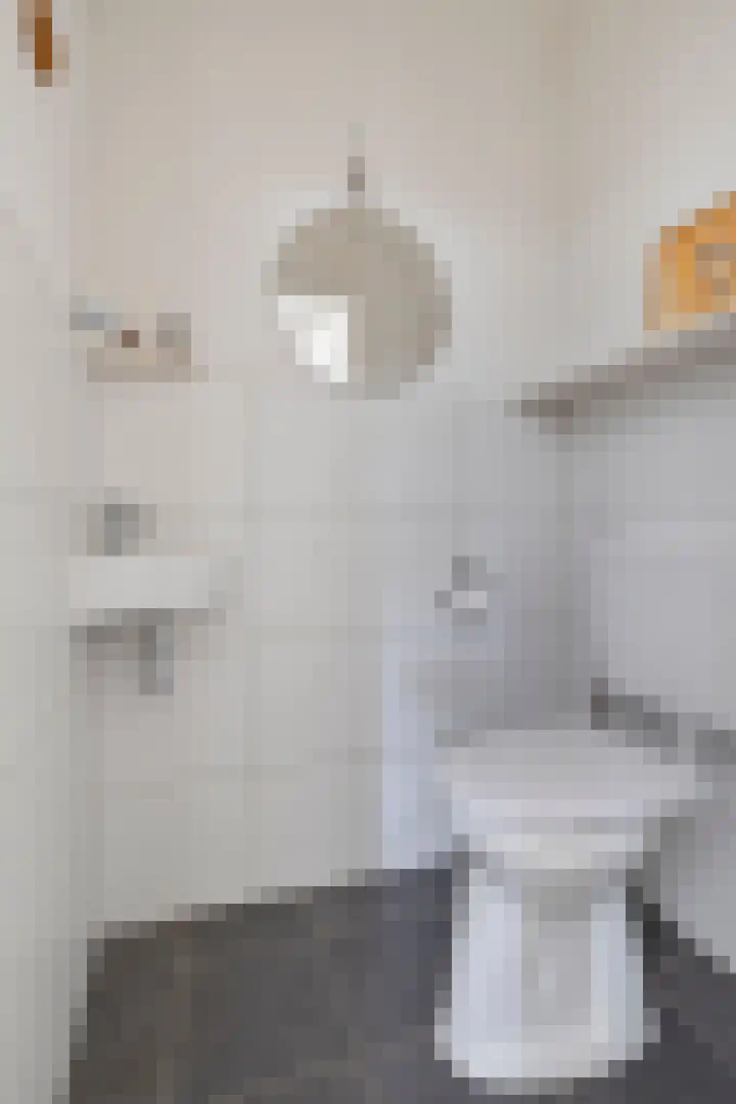 Moeraskreek 3 Spijkenisse thumbnail 12