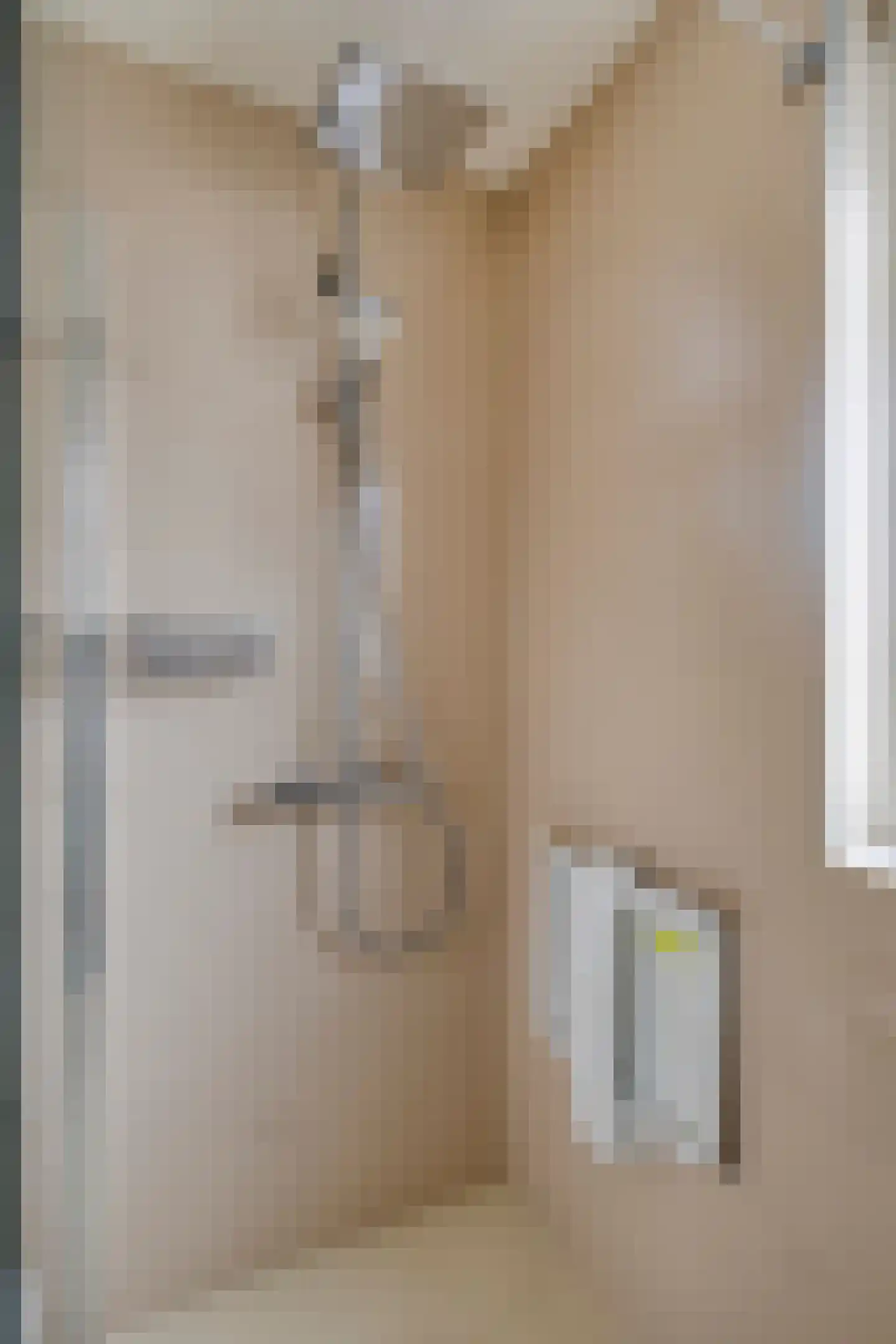 Moeraskreek 3 Spijkenisse thumbnail 16