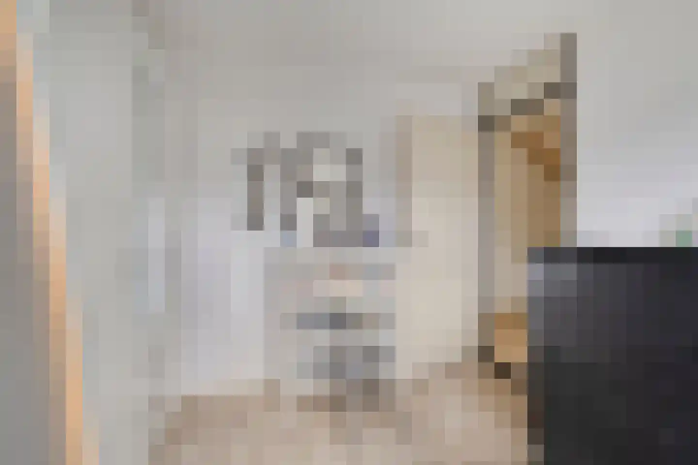 Moeraskreek 3 Spijkenisse thumbnail 18
