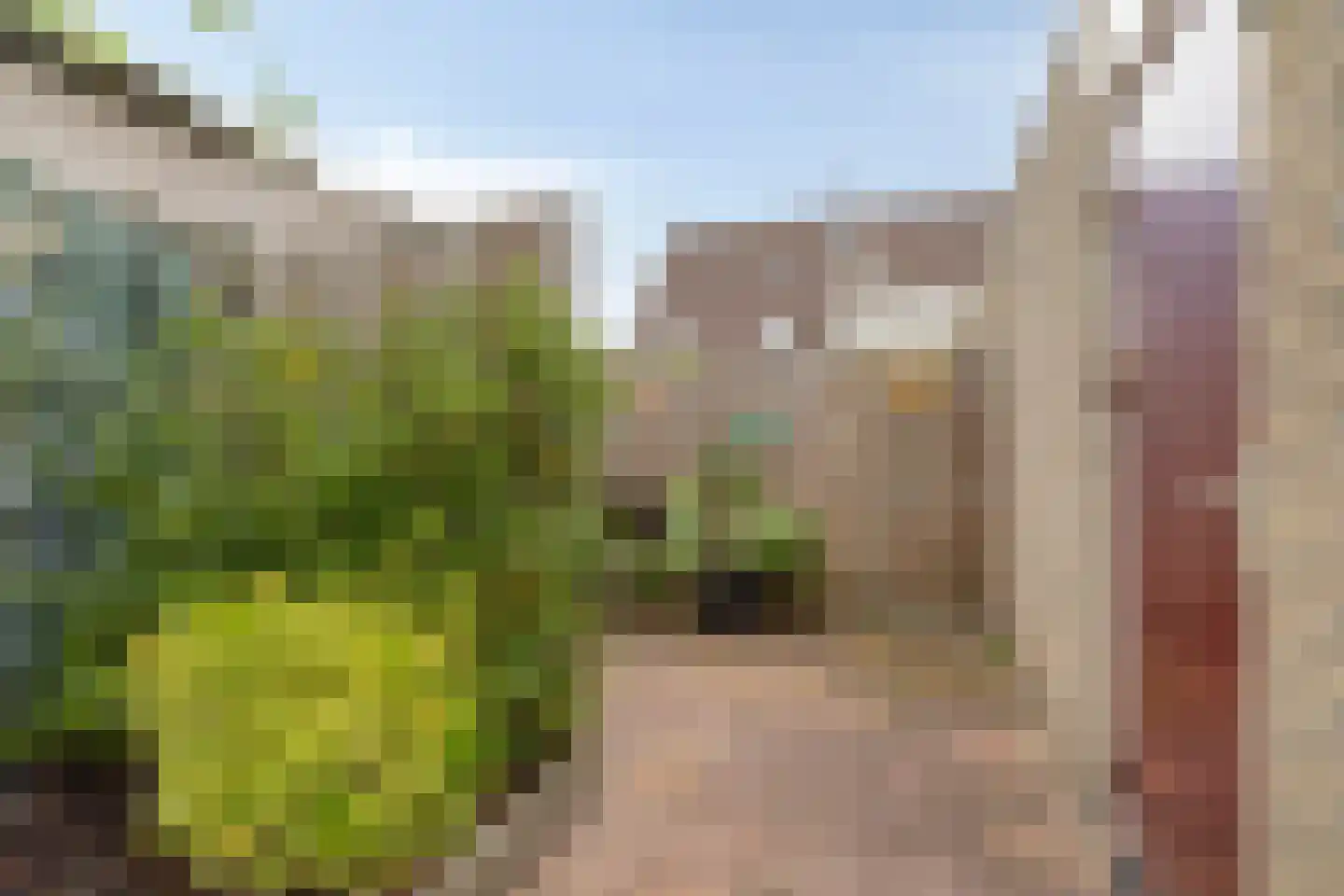 Moeraskreek 3 Spijkenisse thumbnail 24