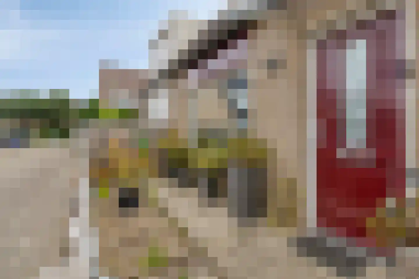 Moeraskreek 3 Spijkenisse thumbnail 27