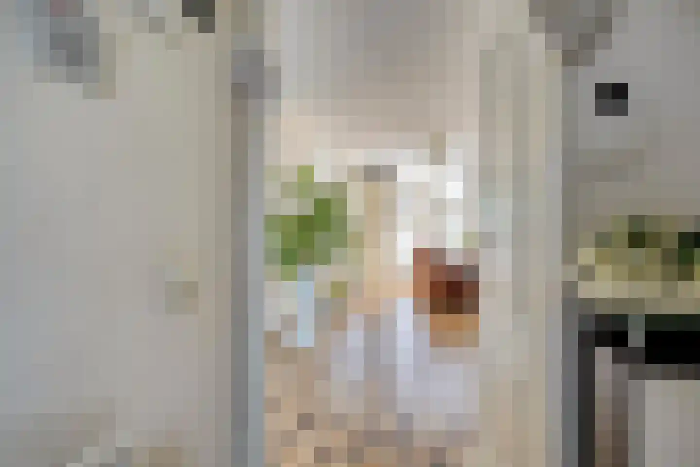 Moeraskreek 3 Spijkenisse thumbnail 5