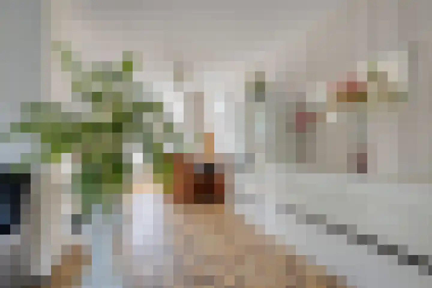 Moeraskreek 3 Spijkenisse thumbnail 7
