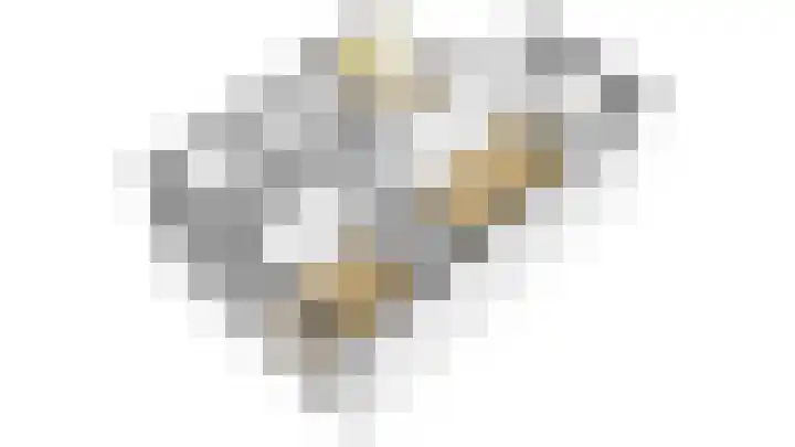 Moeraskreek 5 Spijkenisse thumbnail 15