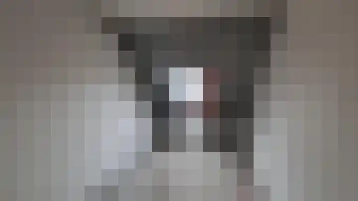 Moeraskreek 5 Spijkenisse thumbnail 7
